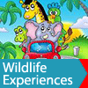 Wildlife Experiences